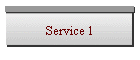 Service 1