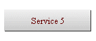 Service 5