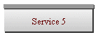 Service 5